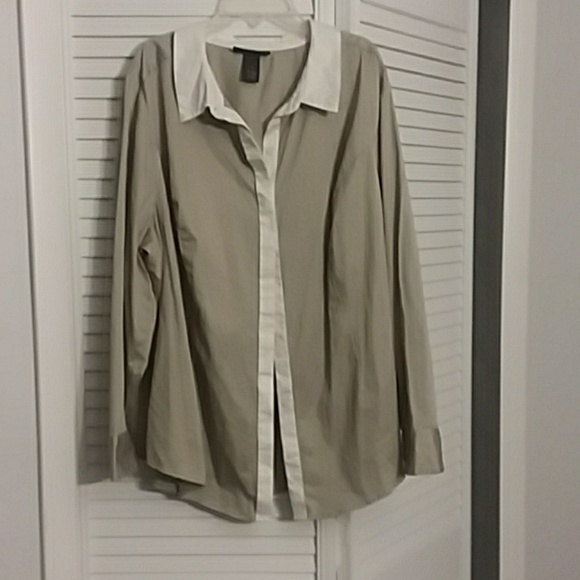 Lane Bryant Tops - Lane Bryant top 2s